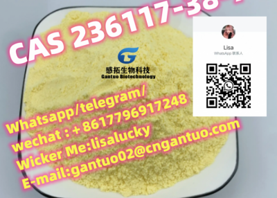 Greatest quality 2-Iodo-1-P-Tolyl Propan-1-One Powder CAS 236117-38-7 CAS 14680-51-4 2114-39-8