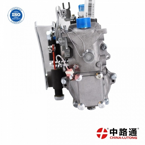 fuel injection pump ve pump BH6pa110 fuel pumps for trucks 141195655