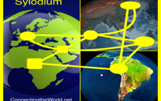 Global business via internet (Sylodium, the only way)