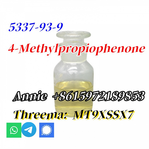 Cas 5337-93-9 4-Methylpropiophenone P-METHYLPROPIOPHENONE BMK