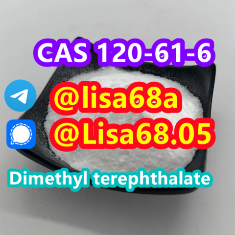 CAS 120-61-6 Dimethyl terephthalate C10H10O4