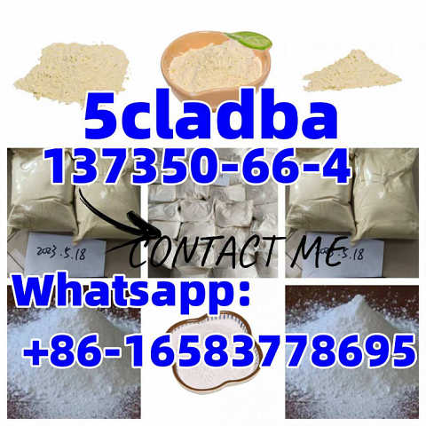 Factory Supplied 5cladba Supplier CAS 137350-66-4  Whatsapp: +86-16583778695