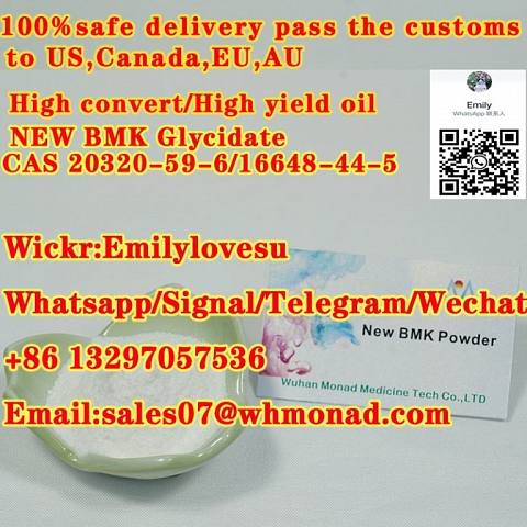 High convert oil NEW BMK Glycidate CAS 20320-59-6/16648-44-5/5413-05-8