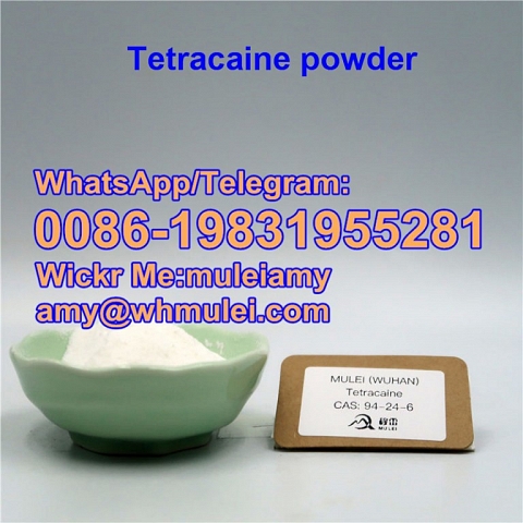 Tetracaine powder Tetracaine,Tetracaine supplier