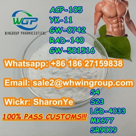 +8618627159838 Sarms Powder Steriod Powder Bodybuilding Muscle Growth with Good Price