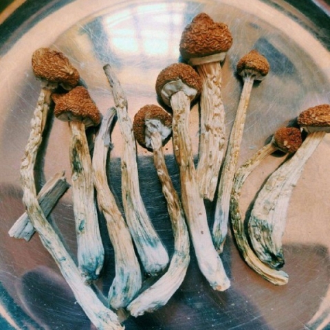 Buy weed,shrooms,xtc,xcanax,redotex online in usa