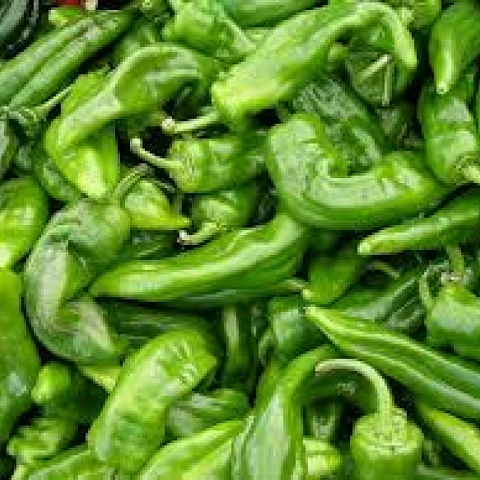 Long Green Cayene Hot Peppers available