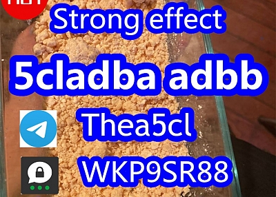 5cladba High purity 5cladba 5cladb 5cl cas 2709672-58-0 / cas 137350-66-4