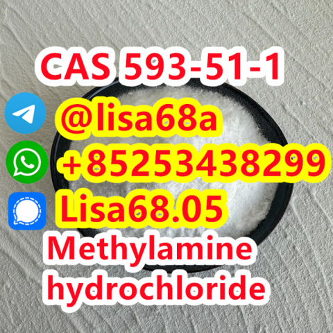 CAS 593-51-1 Methylamine hydrochloride CH5N.ClH