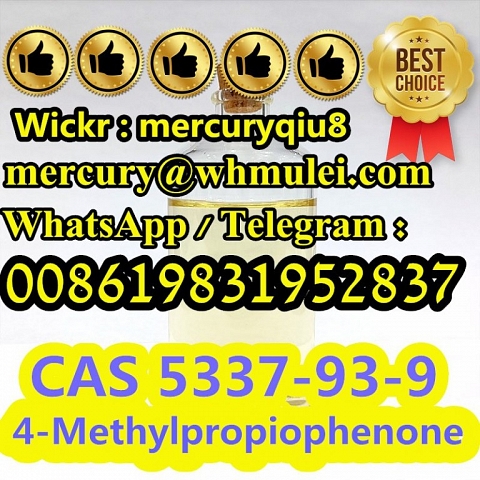 4-Methylpropiophenone,CAS 5337-93-9 (1-(p-Tolyl)propan-1-one 1-(4-methylphenyl)propan-1-one