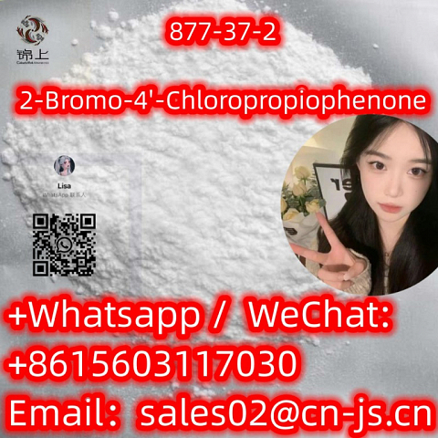 high quality2-Bromo-4'-ChloropropiophenoneCAS877-37-2