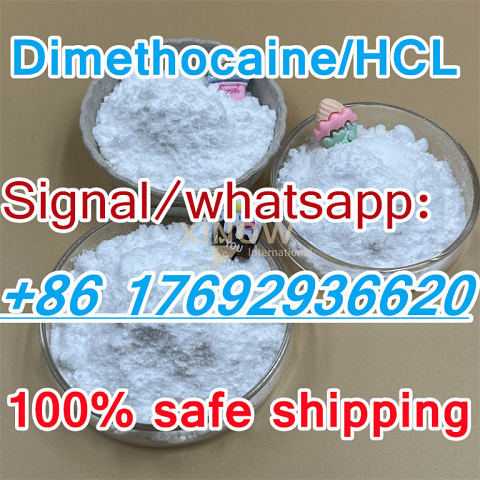 CAS 94-15-5 Dimethocaine in stock with safe delivery