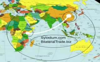 Kenya - China (Sylodium, the global platform)