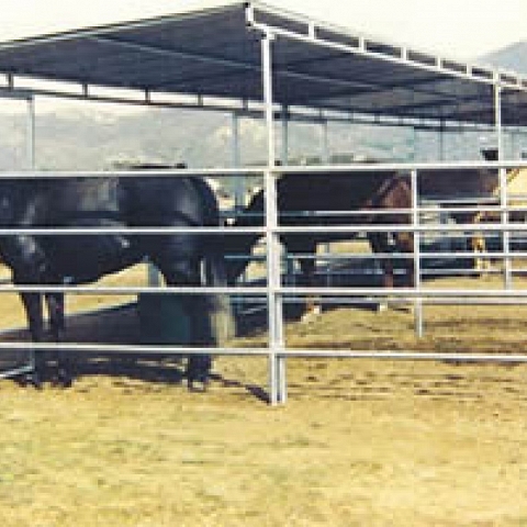 Horse Panel Shelters