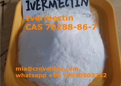 Find Ivermectin powder CAS 70288-86-7 supplier manufacturer in China ( whatsapp +86 19930503252