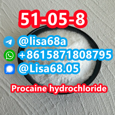 CAS 51-05-8 Procaine hydrochloride C13H21ClN2O2