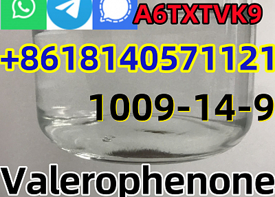 99% purity Valerophenone Cas 1009-14-9 factory price warehouse Europe