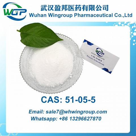 Procaine Hydrochloride 