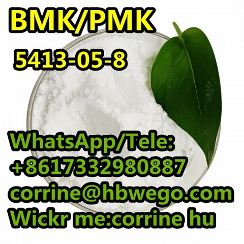 100% safe delivery GLYCIDATE powder Ethyl 2-phenylacetoacetate CAS 5413-05-8 CAS NO.5413-05-8