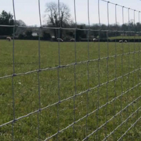 SHEEP & GOAT FENCE