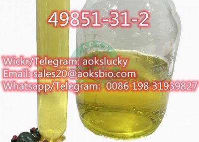 Factory Supply CAS 5337-93-9 4-Methylpropiophenone / 1451-82-7 / 49851-31-2 with Safety Delivery