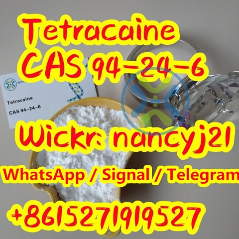 Sell tetracaine powder to Canada,Netherland Top tetracaine powder 94 24 6 supplier 