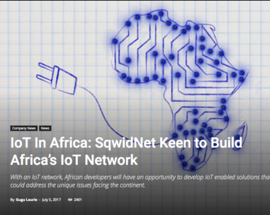 IoT in Africa. Who could build a real network?