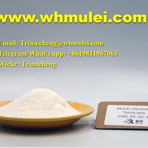 Shiny phenacetin powder crystal phenacetin supplier in China CAS 62-44-2