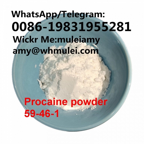 Procaine,procaine base procaine powder