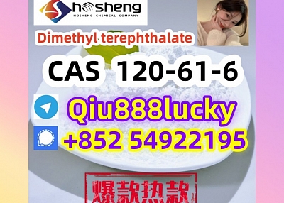 120-61-6  Dimethyl terephthalate  