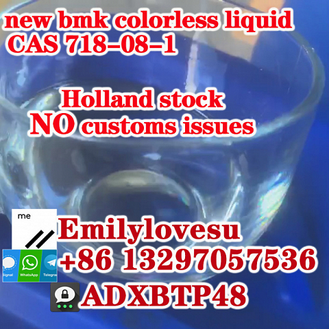 cas 718-08-1 new bmk oil cas 5449-12-7 liquid Germany stock