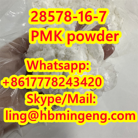 CAS 28578-16-7 PMK ethyl glycidate Pmk Powder PMK Oil PMK Powder