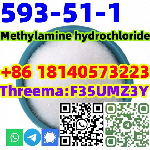  Buy Hot sale CAS 593-51-1 Methylamine hydrochloride with Safe Delivery