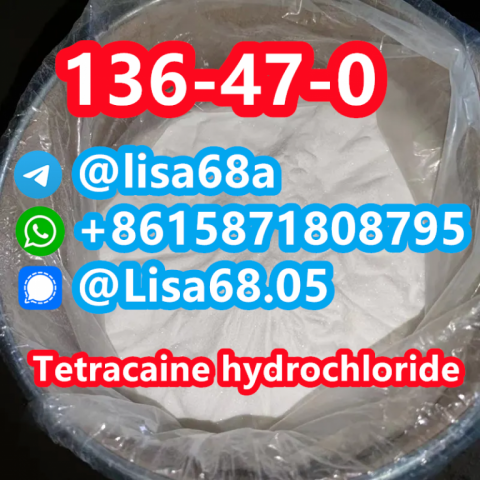 CAS 136-47-0 Tetracaine hydrochloride C15H25ClN2O2