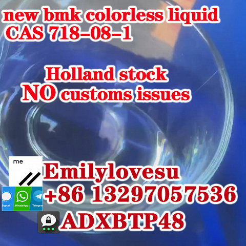 cas 718-08-1 new bmk oil cas 5449-12-7 liquid Germany stock