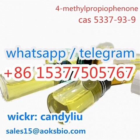 4-Methylpropiophenone CAS 5337 93 9/5337-93-9/5337939 Real Supplier with Best Price