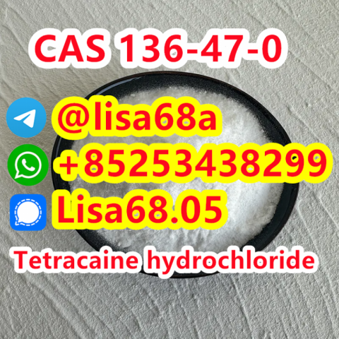 CAS 136-47-0 Tetracaine hydrochloride C15H25ClN2O2