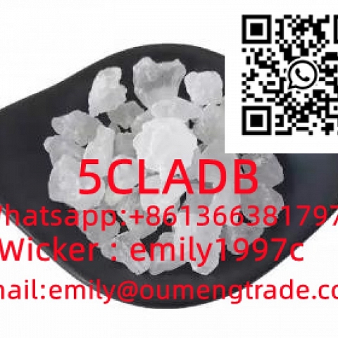 etizolam 40054-69-1 eutylone 802855-66-9 protonitazene 119276-01-6  2-bromazolam