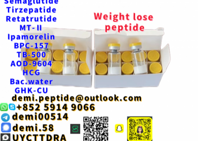 2mg 5mg 10mg peptide Palmitoyl Tripeptide-1 CAS. 147732-56-7 