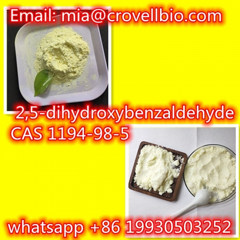  2,5-dihydroxybenzaldehyde CAS 1194-98-5 supplier in China ( whatsapp +86 19930503252 