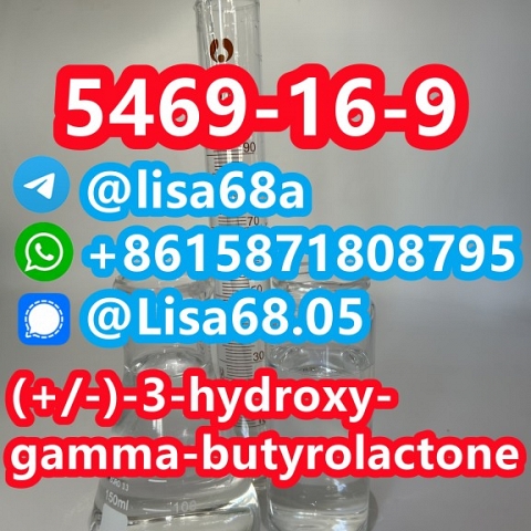 CAS 5469-16-9 (+/-)-3-hydroxy-gamma-butyrolactone C4H6O3