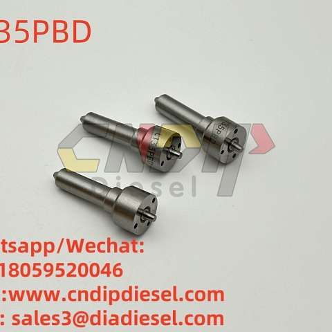 L135PBD repair kits Common Rail L135PBD L136PBD L137PBD L138PBD For DELPHI injection nozzle 