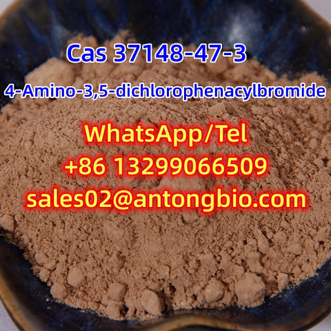 CAS 37148-47-3 4-Amino-3,5-dichlorophenacylbromide C8H6BrCI2NO