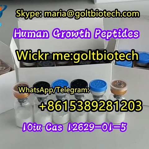 HGH Human Growth Hormone China supplier 100% safe delivery Wickr:goltbiotech