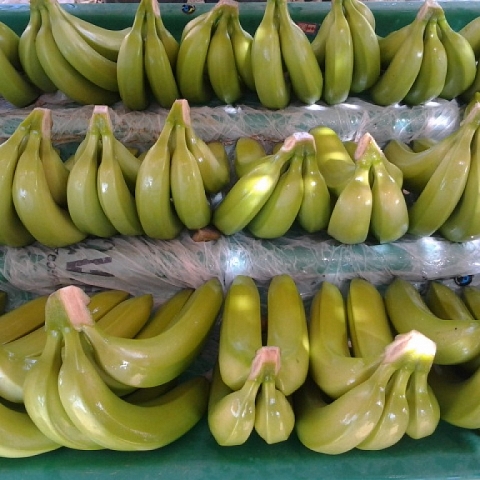 Organic Banana