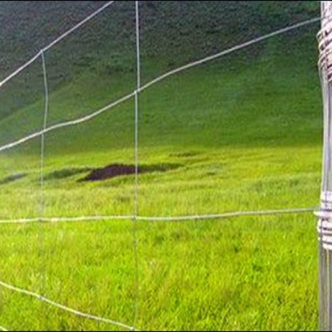 CATTLE FENCE