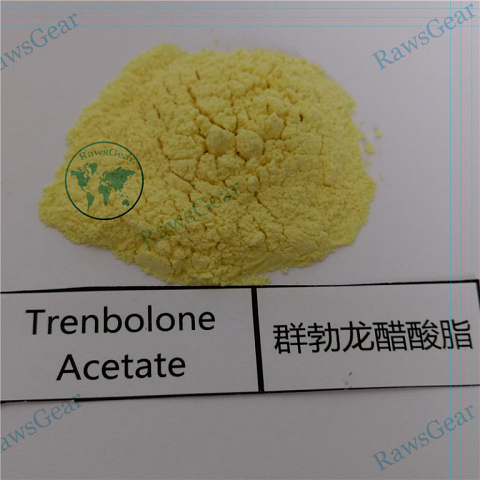 Trenbolone Acetate (Finaplix H/Revalor-H) 