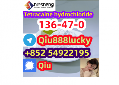 51-05-8 Procaine hydrochloride