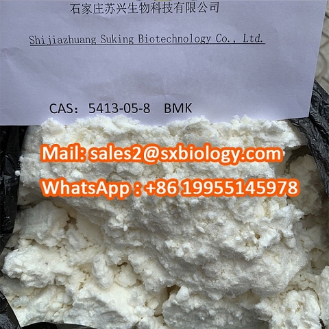 High Purity Pharmaceutical Intermediates 2-Phenylacetoacetate CAS 5413-05-8