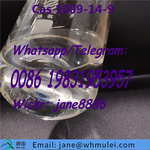 China Factory Direct Supply CAS 1009-14-9 Valerophenone with The Lowest Price